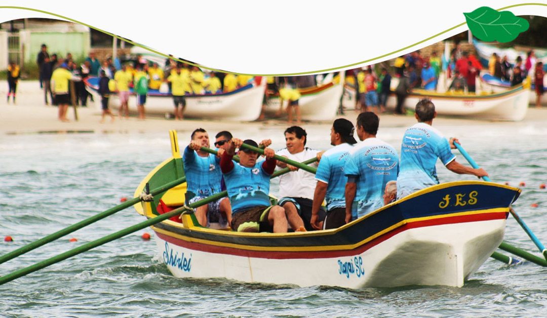 Saragaço Bombinhas: A celebração da Pesca da Tainha