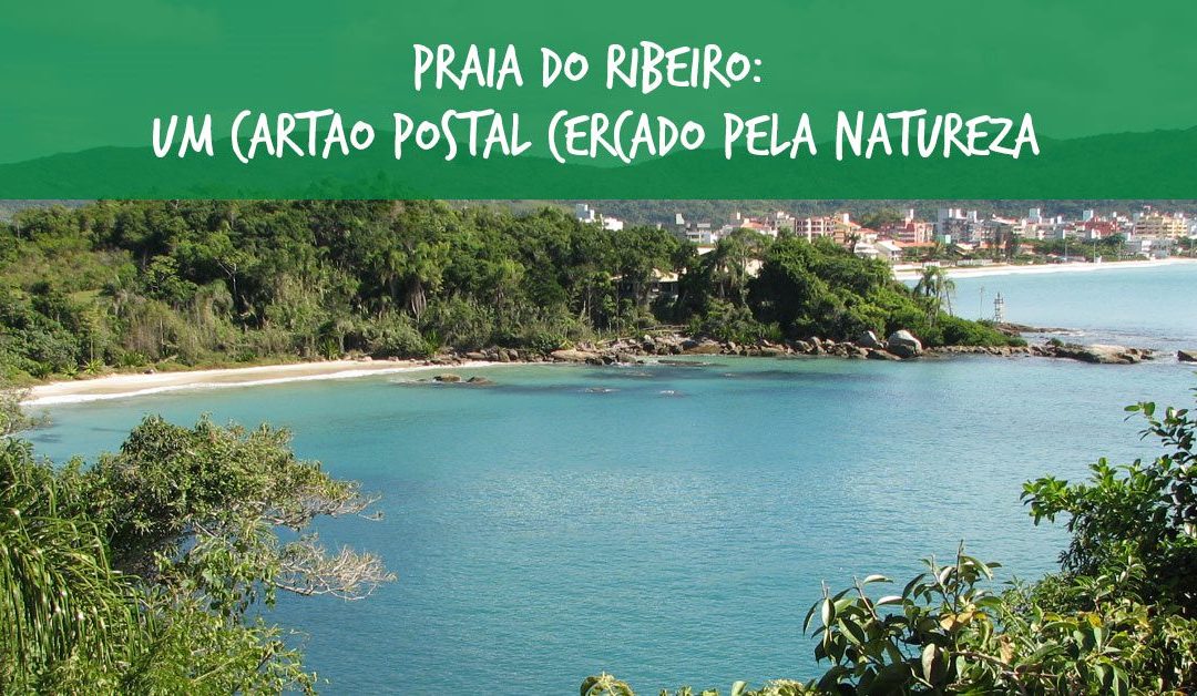 Praia do Ribeiro: Um cartão postal cercado pela natureza